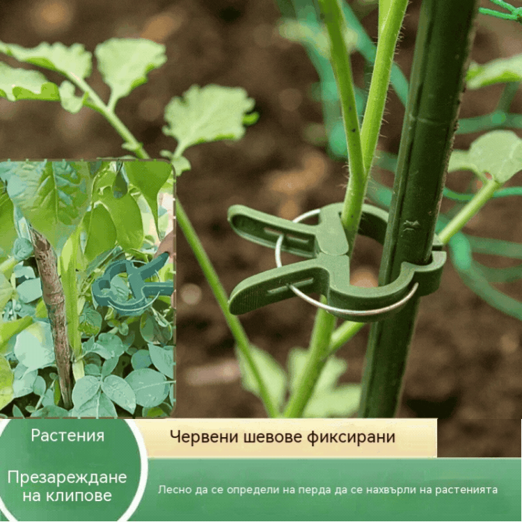 Плащане при доставка🍃【200 бр.】Щипки за градински лози