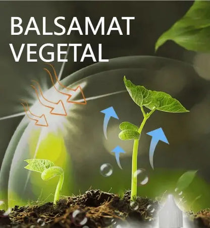 【💥Kup 3, otrzymaj 3 gratis】🌱🌱Płynny roztwór aktywujący rośliny i kwiaty