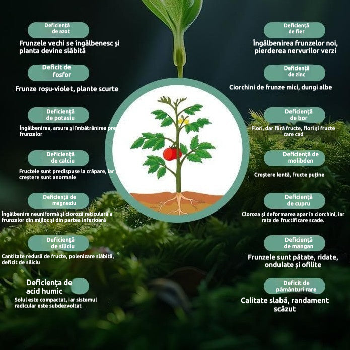 🥔🌱[20 bolsas] Fertilizante foliar soluble "Patata Mágica"｜Para patatas, cacahuetes, batatas, rábanos, taro y cebollas – estimula las raíces y aumenta la producción