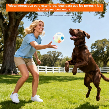 ⚽🐕🐾Nuevo Modelo 2026! 🔥 Juguete para perros: fútbol, suministros interactivos y resistentes a las mordeduras para border collies, labradores y corgis.
