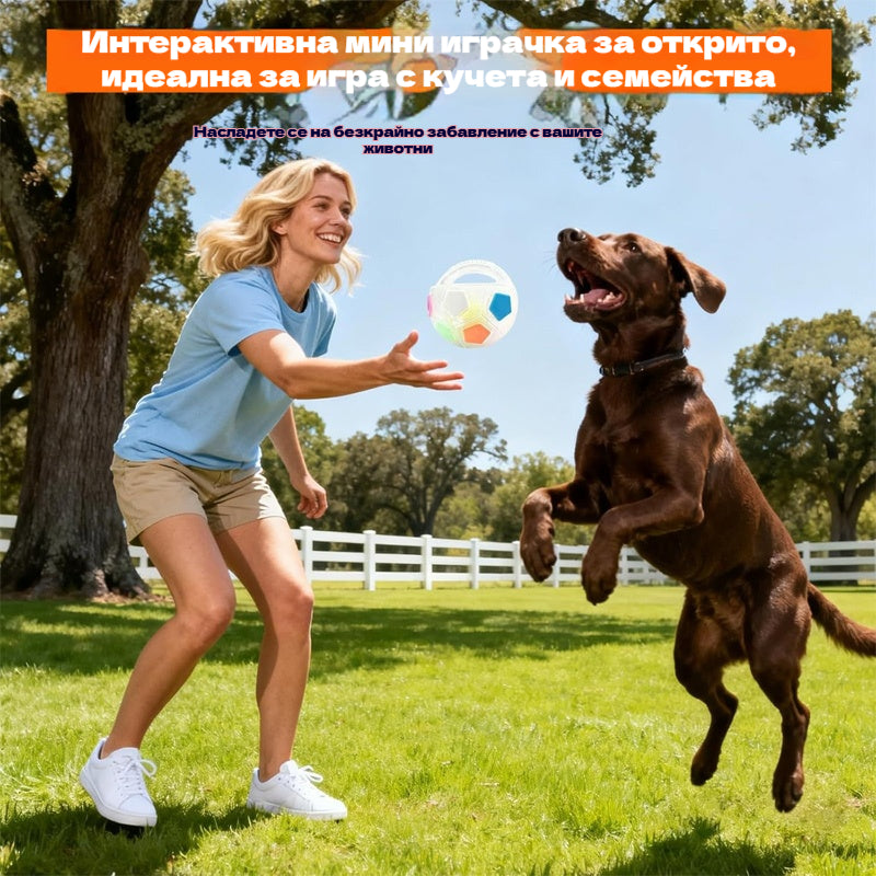 ⚽🐕🐾Събитие с ограничено време🔥Играчка за кучета: футболна топка, интерактивни и устойчиви на ухапване принадлежности за бордър коли, лабрадори и коргита.