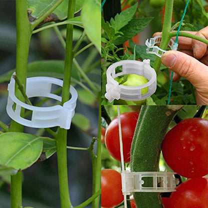 Плащане при доставка🍅🍅【200 броя】🌱Фиксираща щипка за растеж на разсад