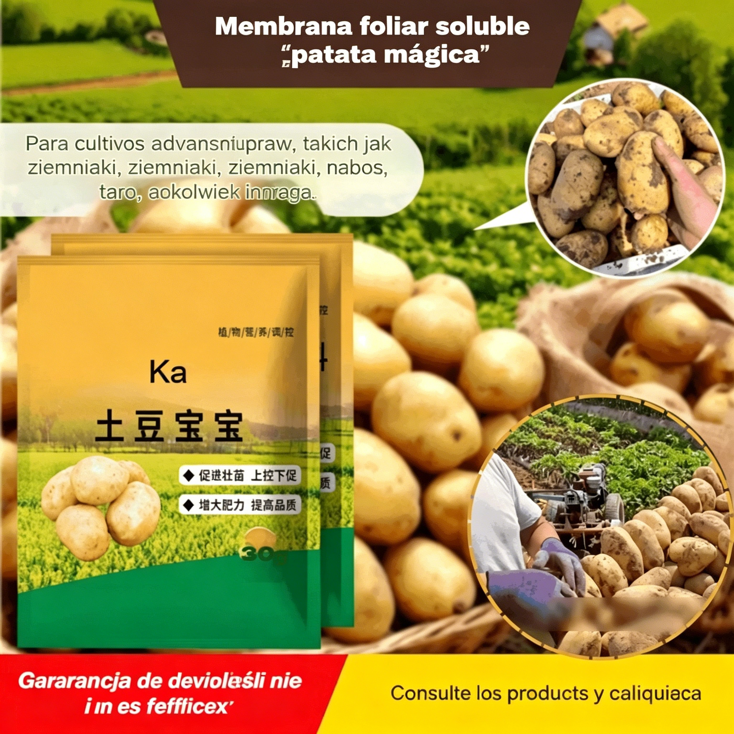 🥔🌱[20 bolsas] Fertilizante foliar soluble "Patata Mágica"｜Para patatas, cacahuetes, batatas, rábanos, taro y cebollas – estimula las raíces y aumenta la producción