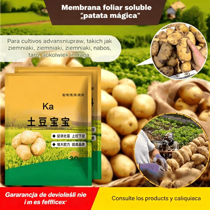 🥔🌱[20 bolsas] Fertilizante foliar soluble "Patata Mágica"｜Para patatas, cacahuetes, batatas, rábanos, taro y cebollas – estimula las raíces y aumenta la producción