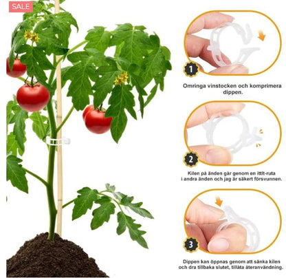 Плащане при доставка🍅🍅【200 броя】🌱Фиксираща щипка за растеж на разсад