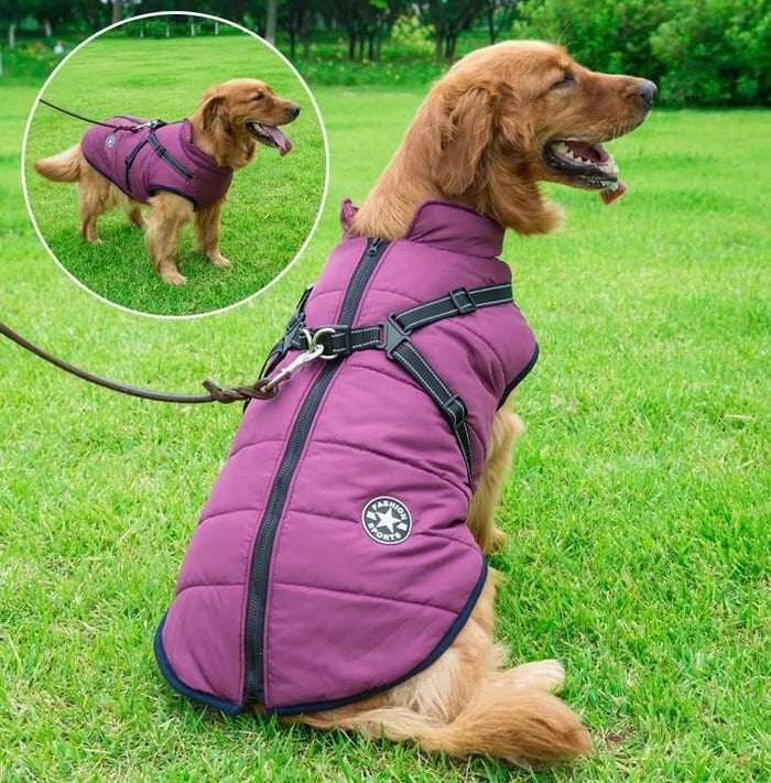 🐕‍🦺【50% popust】Jesenska in zimska smučarska oblačila za hišne ljubljenčke, nepremočljiva in topla bombažna jakna za pse