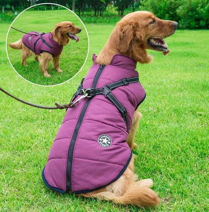 🐕‍🦺【50% popust】Jesenska in zimska smučarska oblačila za hišne ljubljenčke, nepremočljiva in topla bombažna jakna za pse