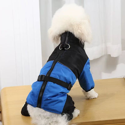 🐕 Abrigo de cuatro patas de otoño e invierno para perro pequeño, impermeable y resistente al pelo.