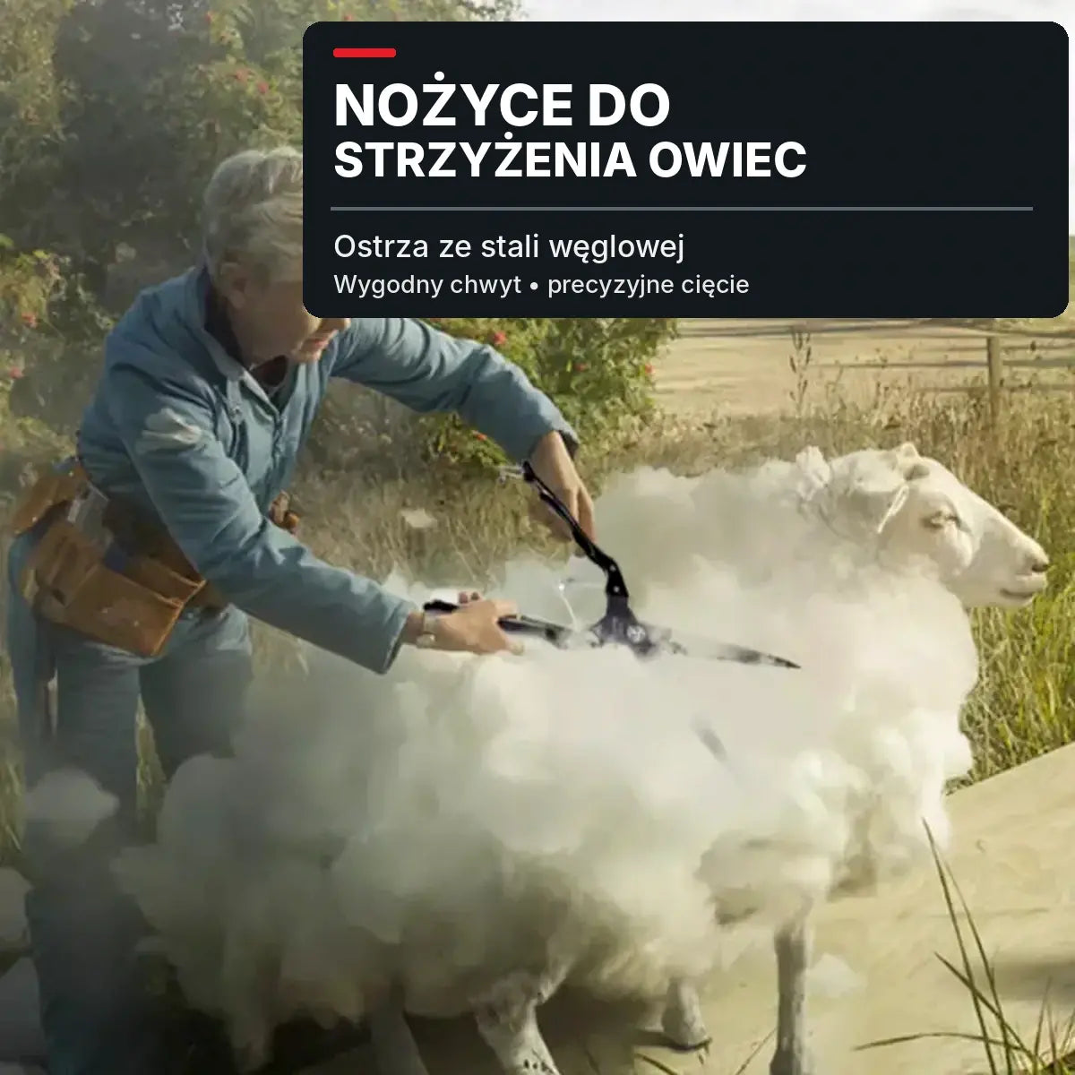 ✂️ Profesjonalne nożyce sprężynowe do strzyżenia wełny i sierści · Stal manganowa/węglowa · Ostre i wytrzymałe ostrza · Wielofunkcyjne nożyce gospodarskie