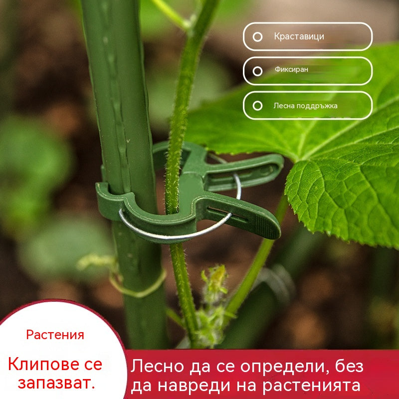 Плащане при доставка🍃【200 бр.】Щипки за градински лози