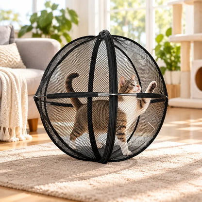 🐈 Interaktywna zabawka dla kota 360° – obrotowa kula do zabawy, zachęcająca zwierzęta do aktywności na świeżym powietrzu ✅