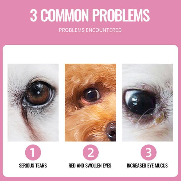 🐕🐈【¡50% de descuento!】Toallitas limpiadoras para manchas de ojos de mascotas 🔥Elimina manchas de lágrimas🔥