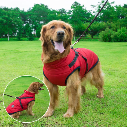 🐕‍🦺【50% popust】Jesenska in zimska smučarska oblačila za hišne ljubljenčke, nepremočljiva in topla bombažna jakna za pse