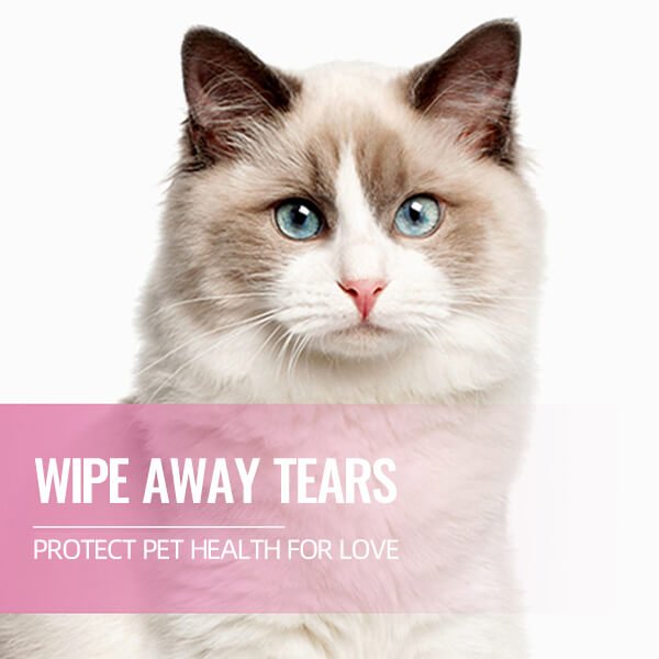 🐕🐈【¡50% de descuento!】Toallitas limpiadoras para manchas de ojos de mascotas 🔥Elimina manchas de lágrimas🔥