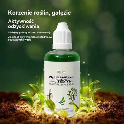 【💥Kup 3, otrzymaj 3 gratis】🌱🌱Płynny roztwór aktywujący rośliny i kwiaty