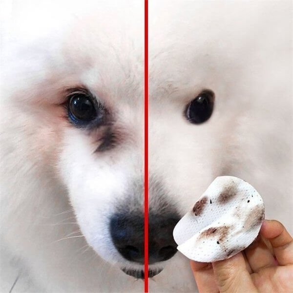 🐕🐈【¡50% de descuento!】Toallitas limpiadoras para manchas de ojos de mascotas 🔥Elimina manchas de lágrimas🔥