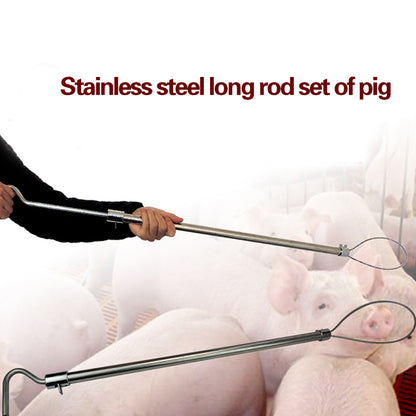 🐷👨‍🌾El precio más bajo por tiempo limitado! 🐖 Collares para cerdos, collares de metal para cerdos, collares de cuerda para cerdos y fijadores.