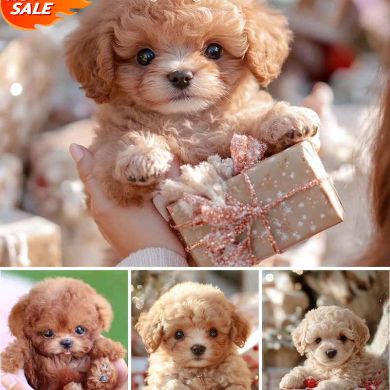 【30% OFF】🐶🔥Pluszowa lalka Puppy My Robot